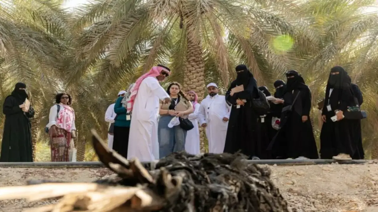 ضباب كثيف يقلص الرؤية إلى متر واحد ويوقف حركة المرور في الشرقية